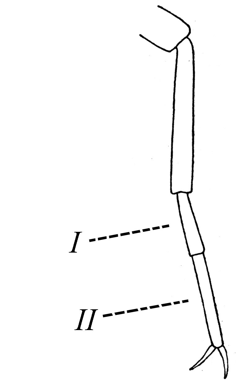 Figura 1